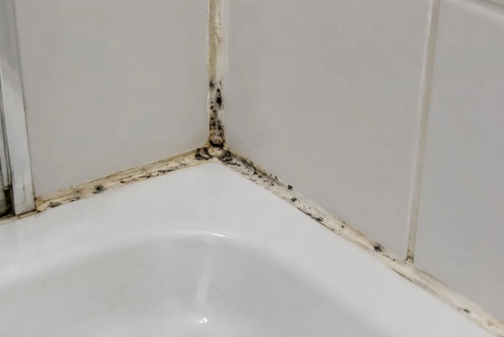 Kitbedrijf Breukelen – beschimmelde kitranden